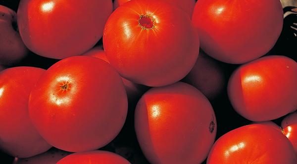 Mala muzejska tržnica