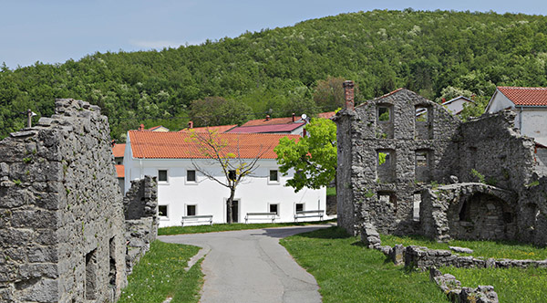 Komemorativni skup Lipa pamti